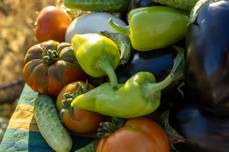 A variety of vegetables including tomatoes, peppers, and cucumbers are piled on top of each otherの写真素材