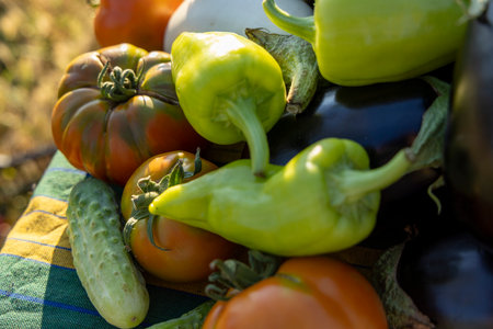 A variety of vegetables including tomatoes, peppers, and cucumbers are displayed on a table. Concept of abundance and freshness, as the vegetables are piled high and appear to be ripeの写真素材