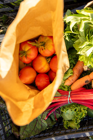 A bag of tomatoes and carrots are displayed in a basket. The bag is brown and the vegetables are red...