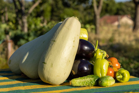A pile of vegetables including squash, tomatoes, cucumbers, and peppers. The squash is the largest and the other vegetables are smallerの写真素材