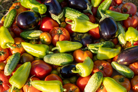 A pile of vegetables including tomatoes, cucumbers, and peppers. The vegetables are arranged in a...