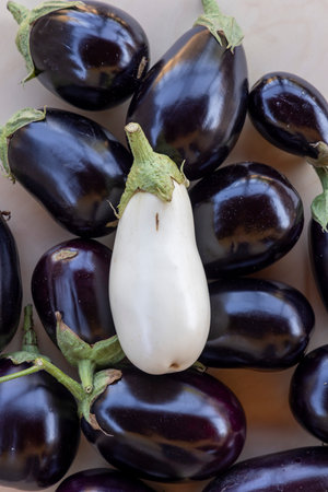 A bunch of purple eggplants with a white one in the middle.の写真素材
