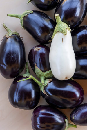 A group of eggplants, some purple and some white, are arranged in a pile. In the middle of the pile, there is a single white eggplantの写真素材