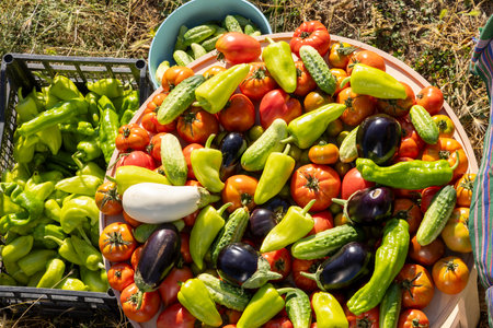 A large pile of vegetables including tomatoes, cucumbers, and peppers. The vegetables are spread out on a table and in basketsの写真素材