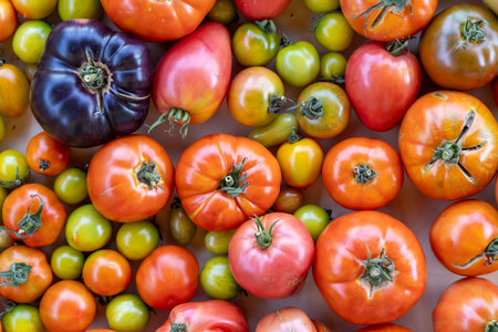 A close up of many different colored tomatoes. Concept of abundance and varietyの写真素材