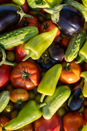 A variety of vegetables including tomatoes, cucumbers, and peppers are displayed in a pile. Concept of abundance and freshness, as the vegetables are all ripe and ready to be eatenの写真素材