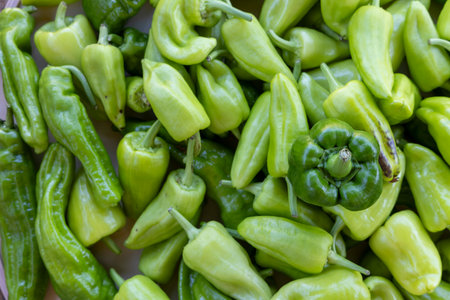 A bunch of green peppers are piled on top of each other. The peppers are all different sizes and shapesの写真素材