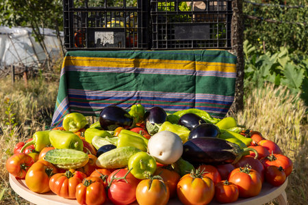 A table full of vegetables including tomatoes, cucumbers, and peppers. The table is surrounded by a green clothの写真素材