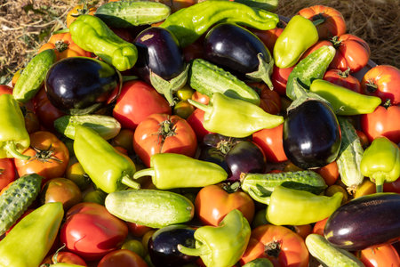 A pile of vegetables including tomatoes, cucumbers, and peppers. The vegetables are all mixed together and appear to be freshの写真素材