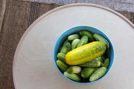A bowl of cucumbers with a yellow one in the middle. The bowl is blue and the cucumbers are greenの写真素材