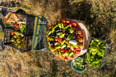 The image depicts a collection of fresh vegetables, including tomatoes, cucumbers, and peppers, arranged in baskets, crates, and bowls on a grassy background. The scene is vibrant and colorful, showcasing a variety of ripe and raw produce.の写真素材