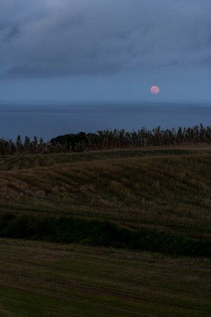 A cloudy sky with a red moon in the background above the sea. There is a field in the foreground.の写真素材