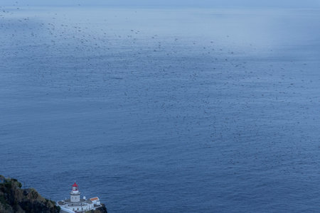 A lighthouse is on a rocky shoreline next to the ocean. The water is calm and the sky is clear. A flock of birds is flying above.の写真素材