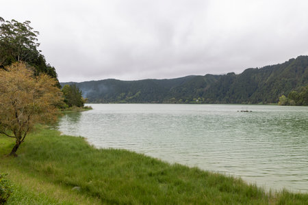 A lake with a greenish tint and a few trees in the background. The water is calm and the sky is cloudyの写真素材