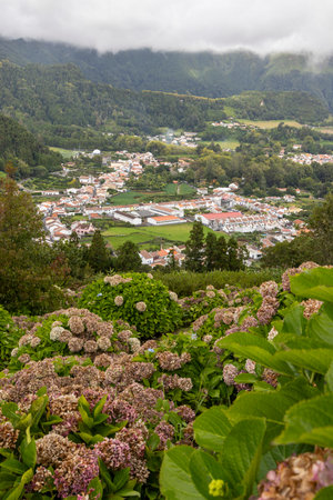 A beautiful view of a town with a lot of flowers. The flowers are purple and green. The town is small and has a lot of houses. The view is very peaceful and relaxing at Furnas, Azoresの写真素材