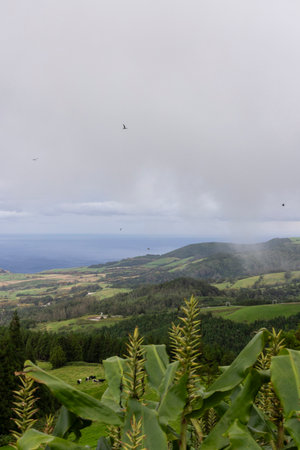 A lush green hillside with a view of the ocean and a few cows grazing. The sky is cloudy and the...