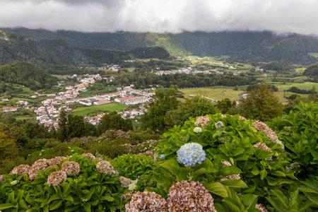 A beautiful view of a town with a lot of flowers and trees. The sky is cloudy at Furnas, Azoresの写真素材