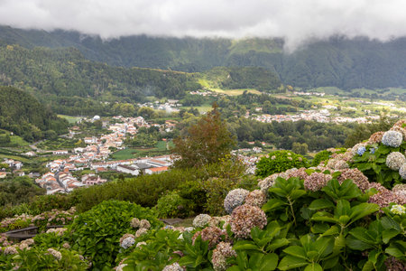 A lush green hillside with a town below. The town is small and has a few houses. The hillside is covered in flowers and plants, giving the scene a peaceful and serene atmosphere at Furnas, Azoresの写真素材