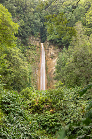 A waterfall is seen in the middle of a lush green forest. The water is flowing down a steep cliff, creating a beautiful and serene scene.の写真素材