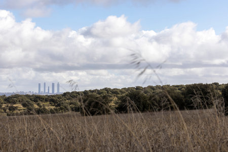 Madrid skyline with cuatro torres business area seen from a natural field