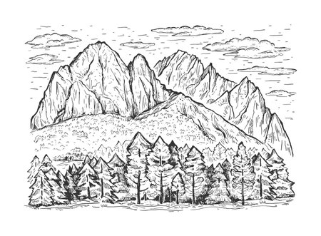 Sketch vector background with hand drawn graphic high mountains, clouds and pine forest. Design for pillow print, cover, poster and carpetのイラスト素材