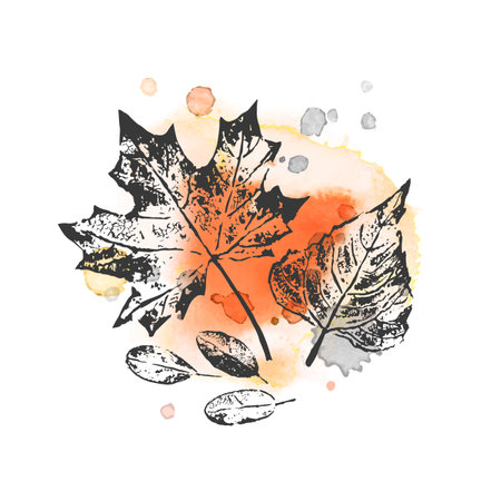 Autumn vector watercolor abstract illustration with leaves in gray and orange colors. Grunge leaves, drops and texture isolated on white background. Design with splashes for print, banner, cardのイラスト素材