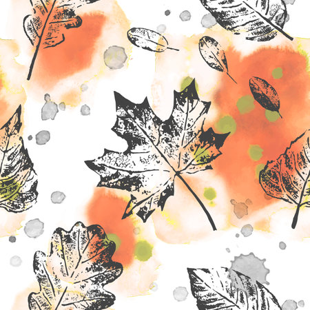 art, autumn, background, black, botanical, botany, brown, colorful, deciduous, design, drawing, drop, fabric, fall, foliage, golden, illustration, leaf, leaves, maple, nature, noveのイラスト素材