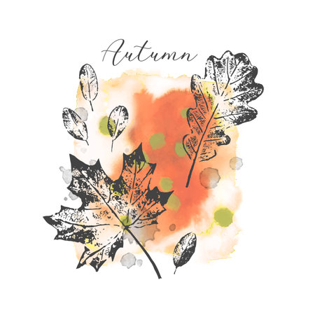 Watercolor autumn vector abstract illustration with leaves. Grunge leaves, drops and texture isolated on white background. Design with splashes for print, banner, cardのイラスト素材