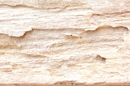 Close up texture of wood backgroundの写真素材