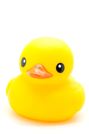yellow rubber duck isolated on whiteの写真素材
