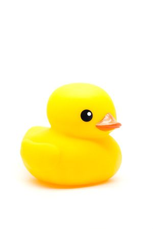 yellow rubber duck isolated on whiteの写真素材