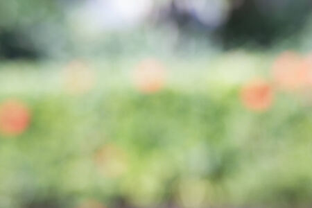 Abstract beautiful Background is blur and colorfulの写真素材