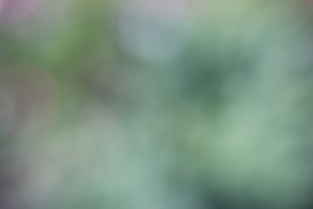 Abstract beautiful Background is blur and colorfulの写真素材