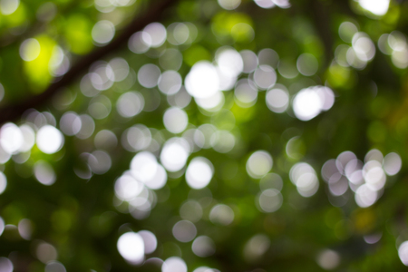 Abstract beautiful Background is blur and colorfulの写真素材