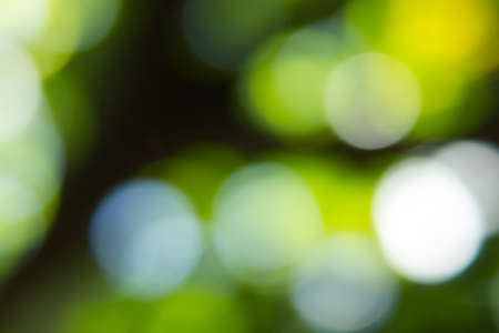 Abstract beautiful Background is blur and colorfulの写真素材