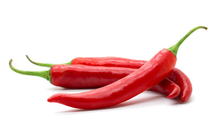 Hot red chili or chilli pepper isolated on white background.の写真素材
