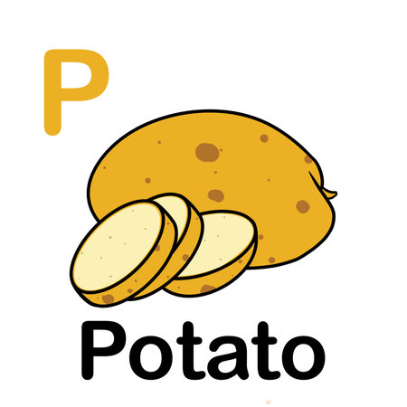 illustration of potatoの写真素材
