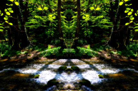 Abstract forest sunriseのeditorial素材