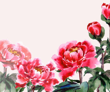 Greeting card with watercolor blooming peonies. With place for your text. (Use for Boarding Pass, invitations, thank you card.) Vector illustration.のイラスト素材