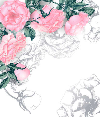 Greeting card with blooming roses. With place for your text. (Use for Boarding Pass, invitations, thank you card, Birthday card) Vector illustration.のイラスト素材