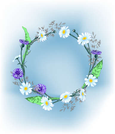 Summer background with a wreath of wild flowers, daisies, cornflowers, grass, with butterflies. Template Vector.のイラスト素材