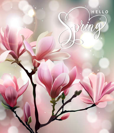 Spring background with blossom brunch of Magnolia. Template Vector.のイラスト素材