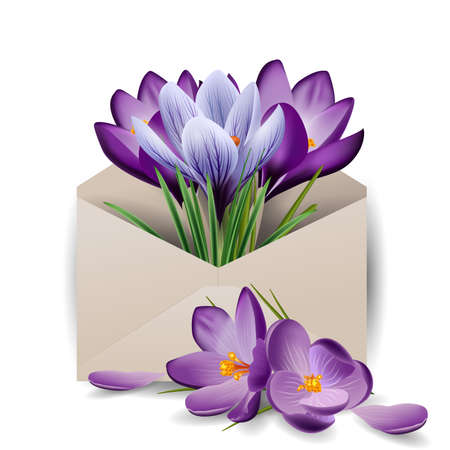 Colorful spring flowers, crocuses in the envelope. Concept spring background. The template vector. The concept of flower delivery.のイラスト素材