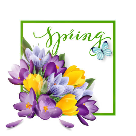 Spring background with blooming spring flowers, crocuses. Vector illustrationのイラスト素材