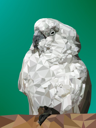 Vector illustration of low poly parrot. Geometric polygonal parrot silhouette. Parrot triangles low poly vector.のイラスト素材