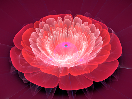 Fractal flower, abstract computer-generated illustration.の写真素材