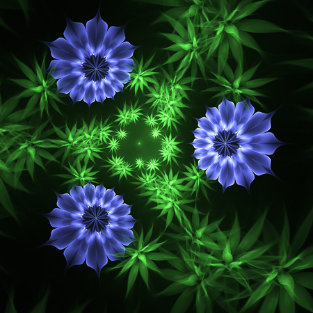 Abstract fractal flower, computer-generated illustration.の写真素材
