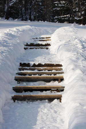 a stair is in the winter forestの写真素材