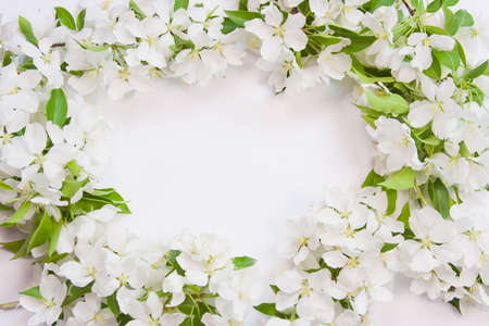 beautiful designer background with the sprigs of flowering apple-treeの写真素材