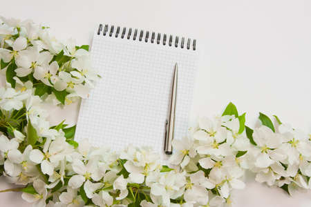 beautiful designer background with the sprigs of flowering apple-tree with a notebook and penの写真素材
